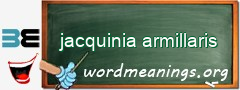 WordMeaning blackboard for jacquinia armillaris